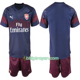 Billige Fotballdrakter Arsenal Barn Bortedraktsett 2018/19 Kortermet